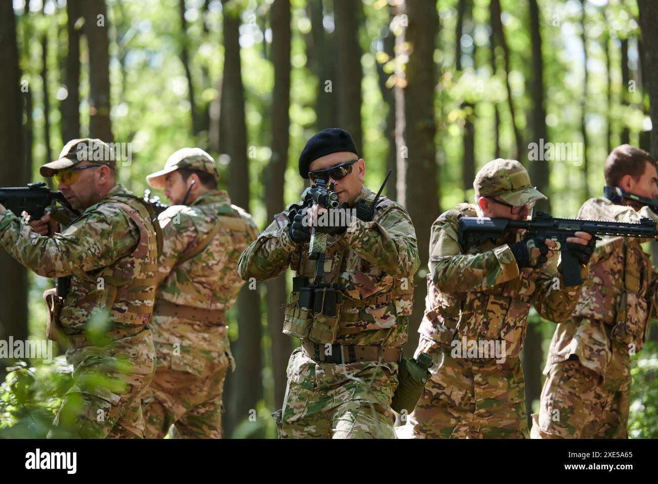 A specialized military antiterrorist unit conducts a covert operation in dense hazardous woodland demonstrating precision dis Stock Photo Alamy