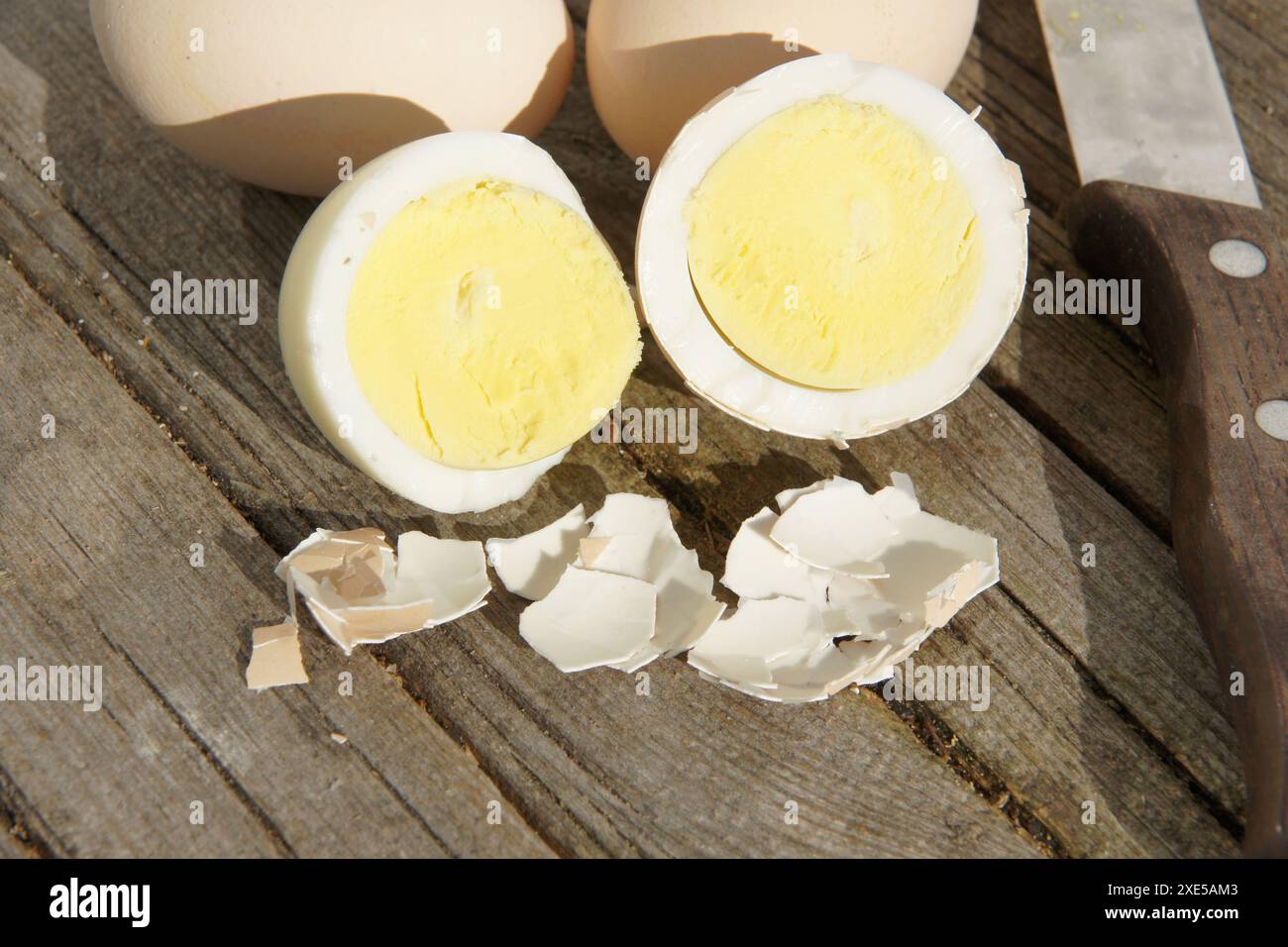 Eggs, shell Stock Photo