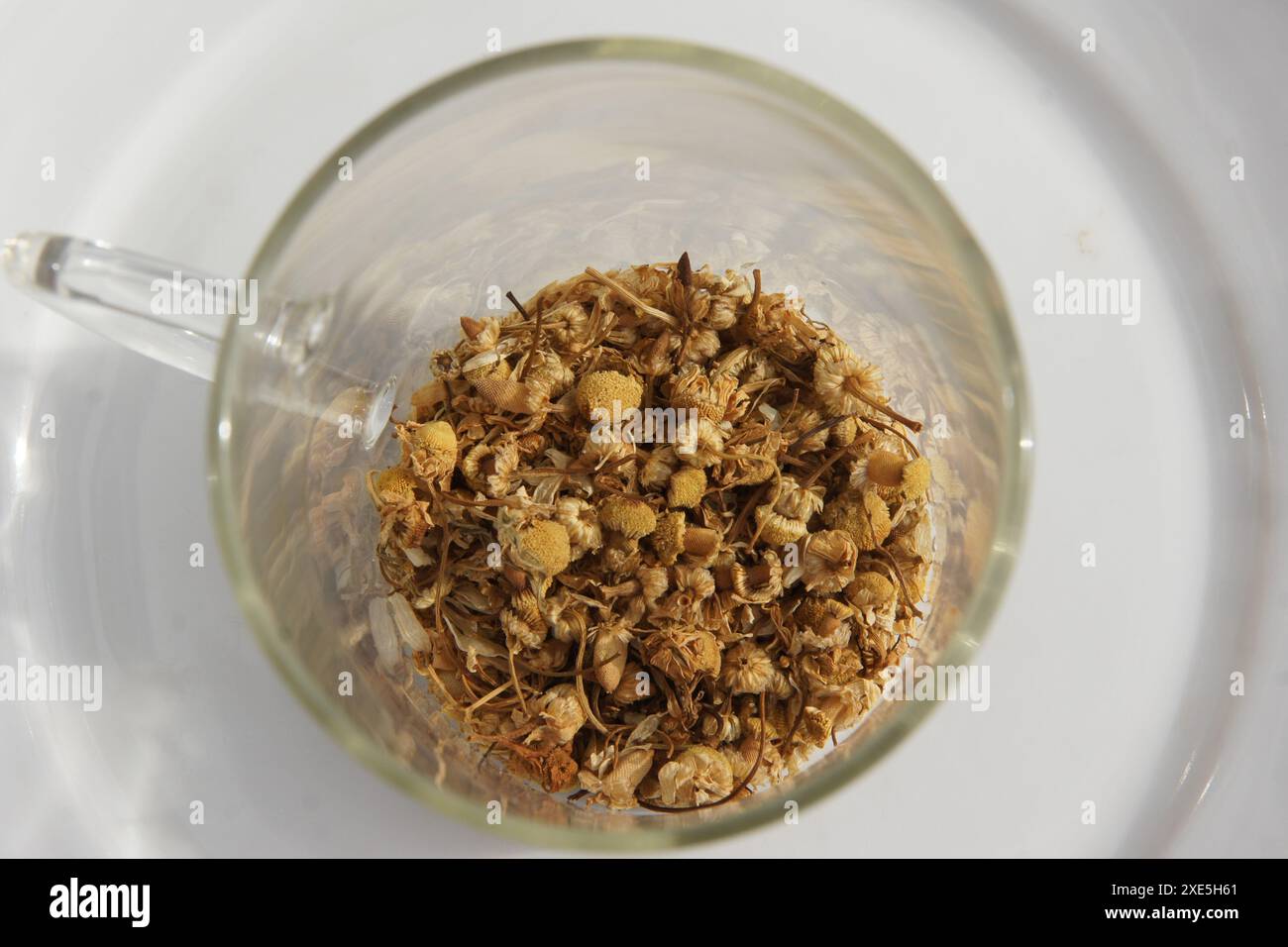 Matricaria chamomilla, chamomile Stock Photo