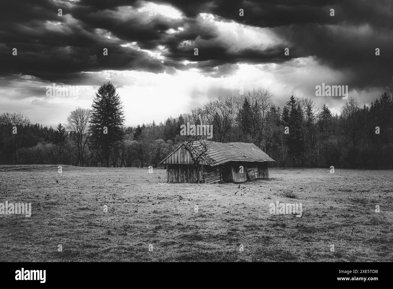 spooky cabin, woods, haunted, eerie, dark, forest, abandoned, cabin