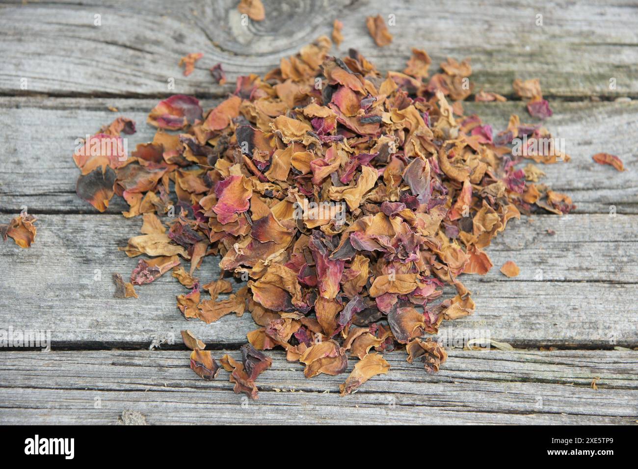 Rosa, dried flowers Stock Photo