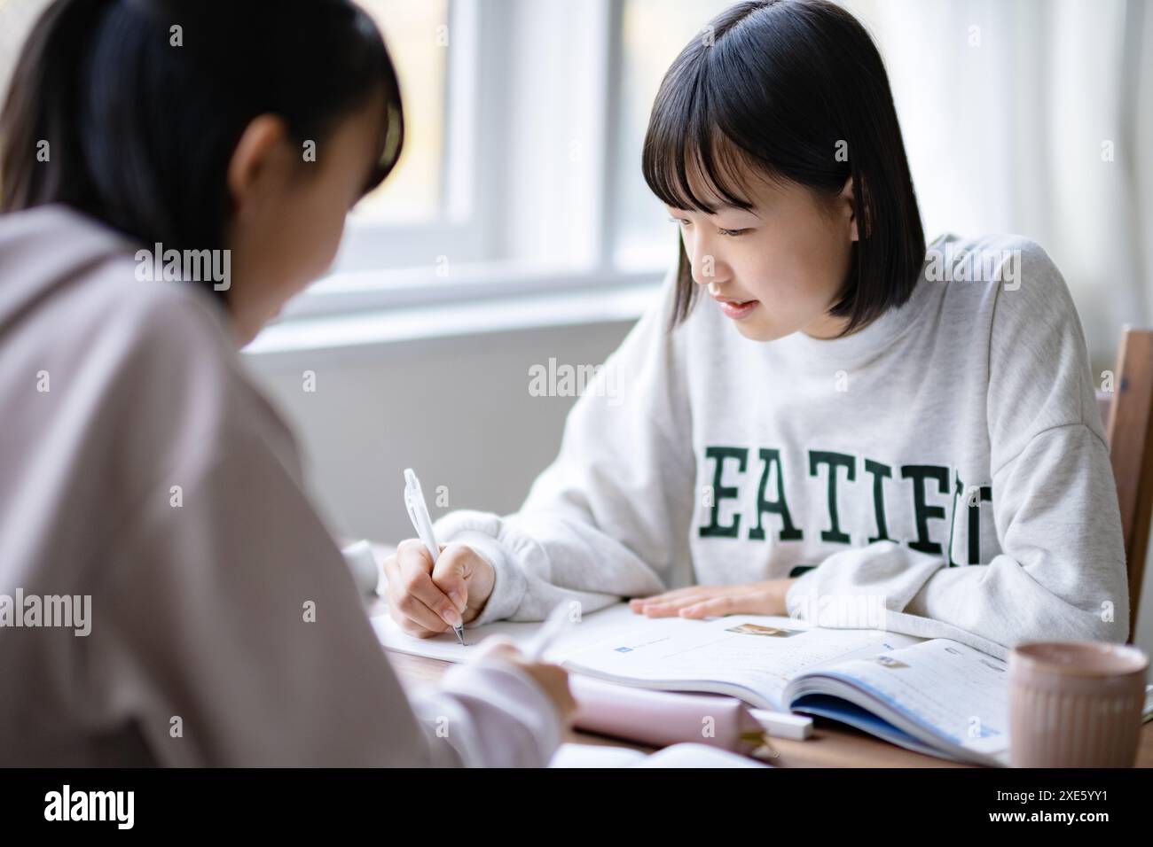 Student studying at home Stock Photo - Alamy