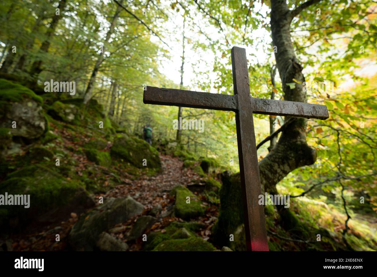 Bosque de aire hi-res stock photography and images - Alamy