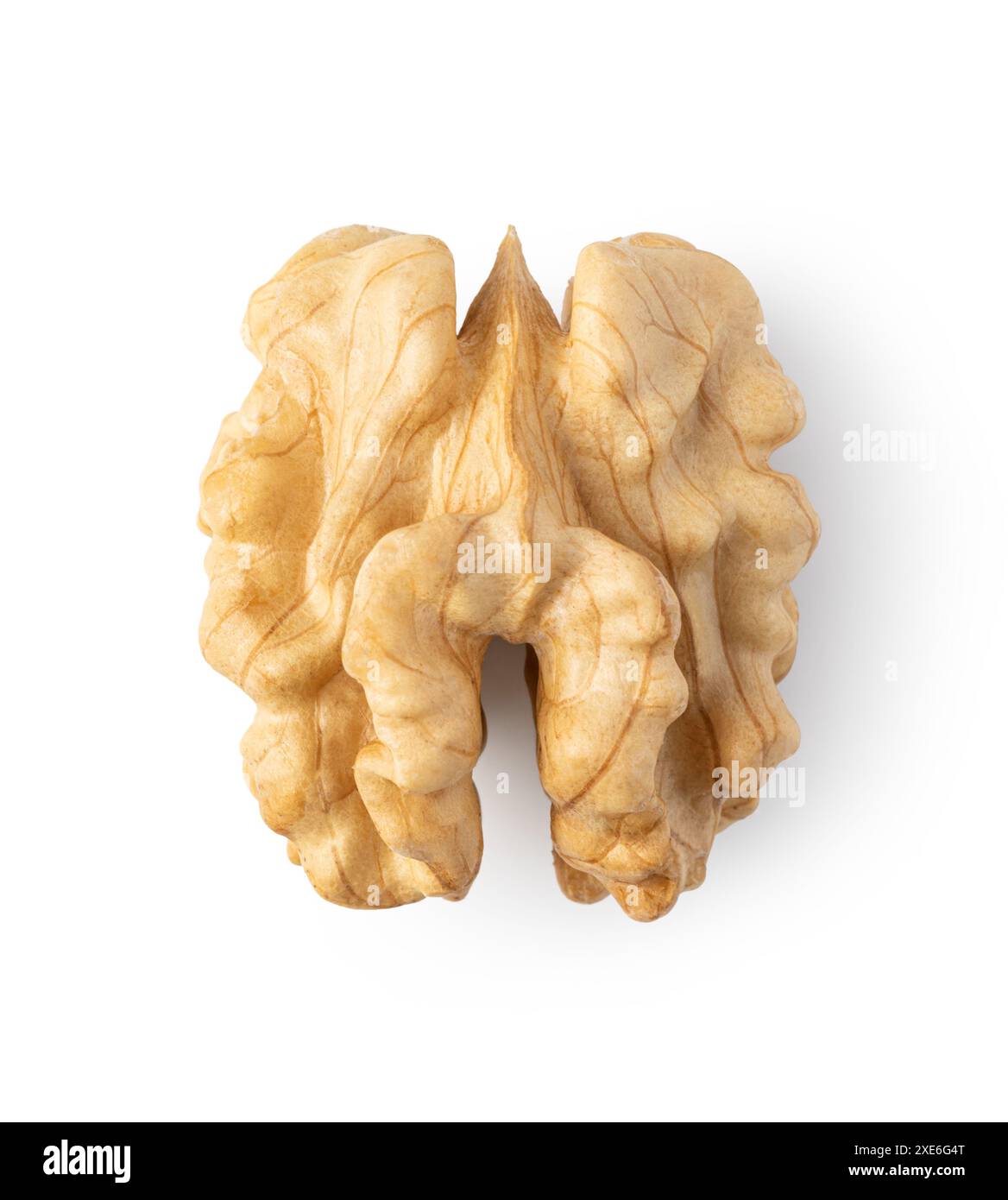 Walnut on white background Stock Photo