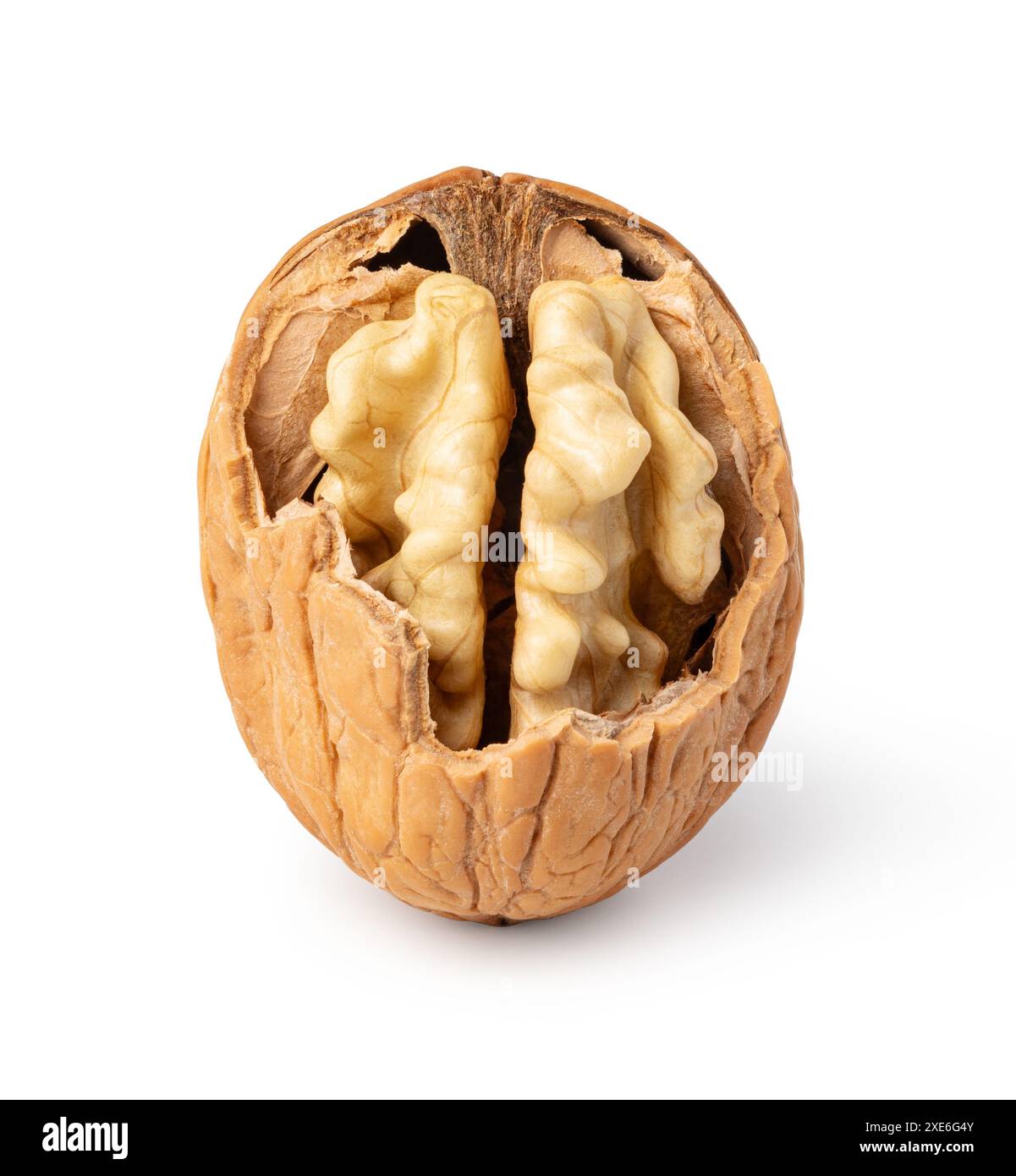 Walnut on white background Stock Photo