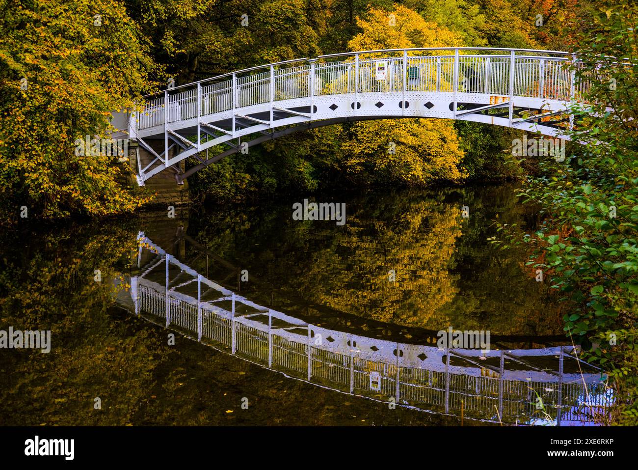 The Laurie Bridge, Wilton Lodge Park, Hawick, Scottish Borders, Scotland, UK Stock Photo