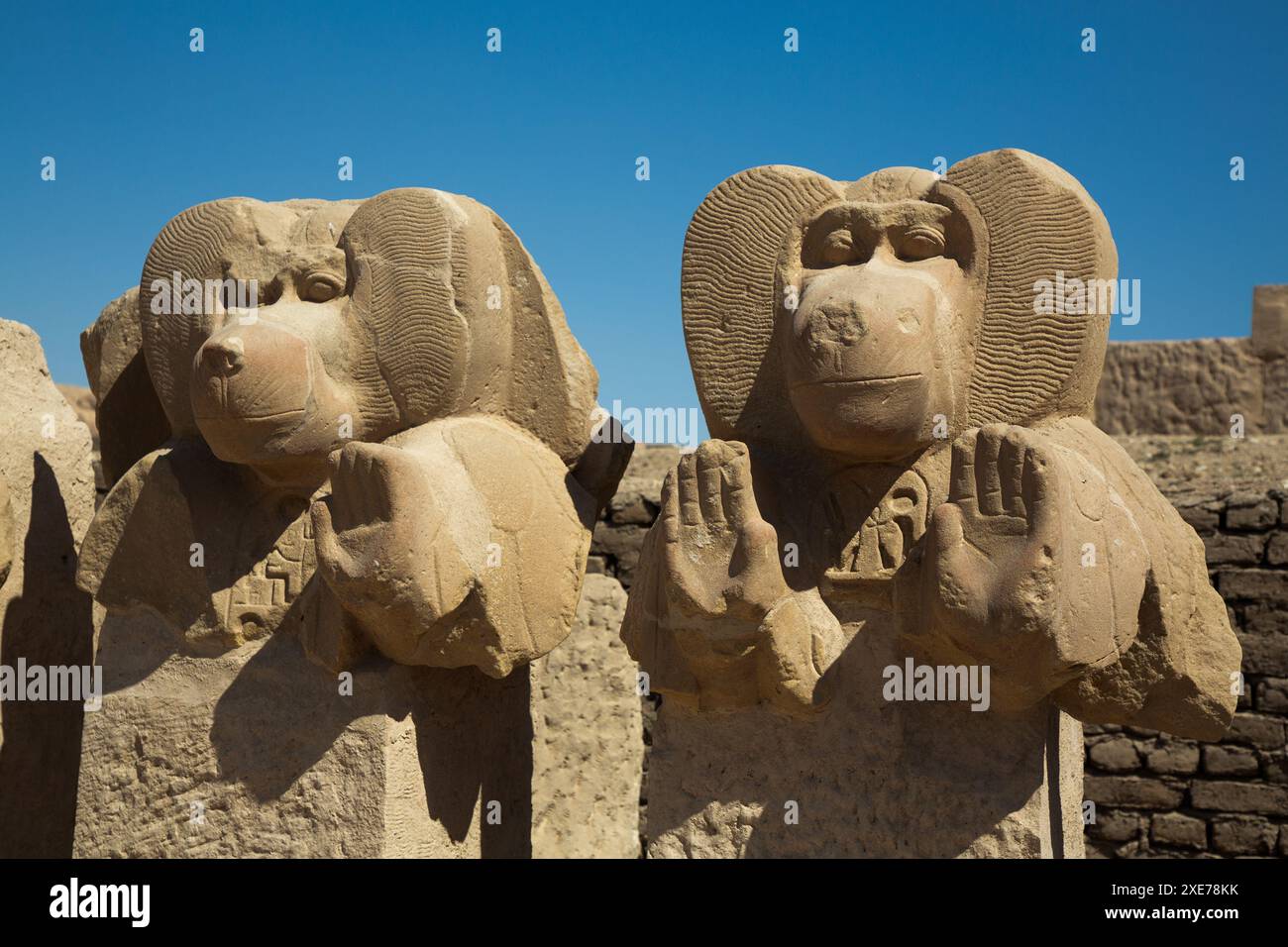 Statues of Babi, Baboon God, Ramesseum, Memorial Temple of Pharaoh Ramesses II, 13th century BC, Ancient Thebes, Luxor, Egypt Stock Photo