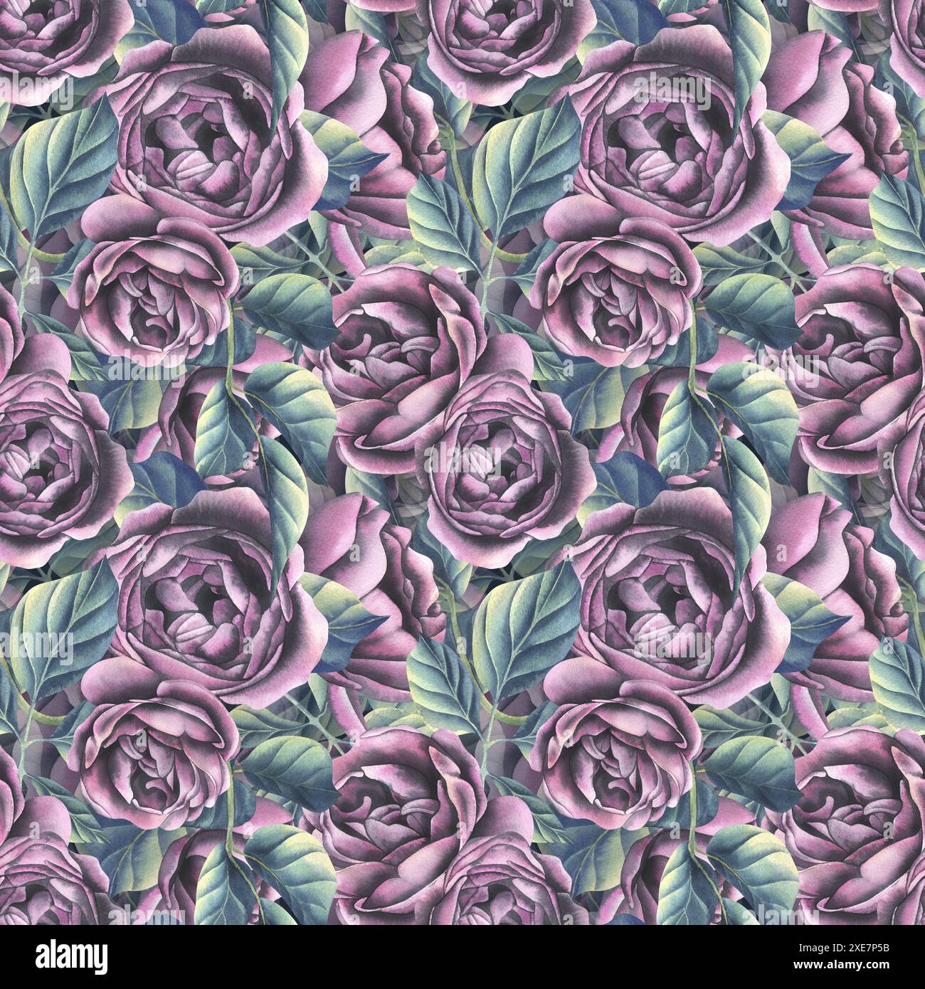 Pink roses with leaves. Watercolor illustration. Large, dense, seamless ...