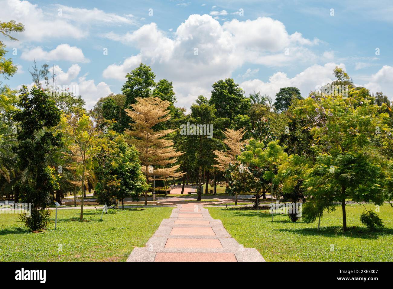 Taman Putra Perdana green forest park in Putrajaya, Malaysia Stock ...