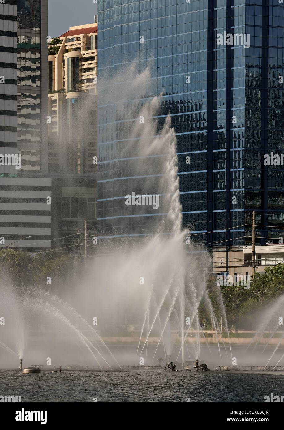 Bangkok, Thailand - 22 Jun, 2024 - An Impressive Ornamental Pond water ...