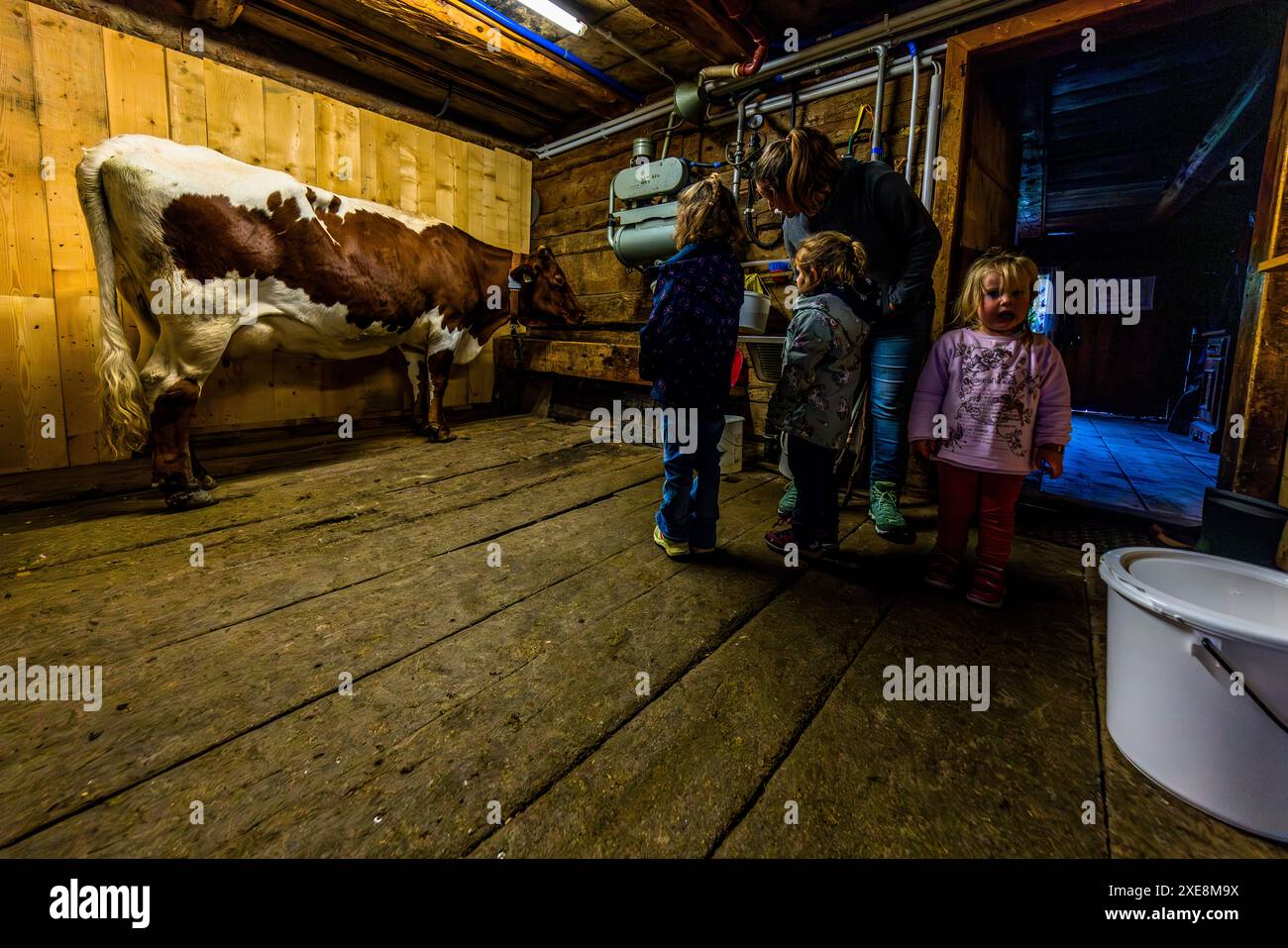 Milking stable in the Filzmoosalm, Salzburg, Austria Stock Photo