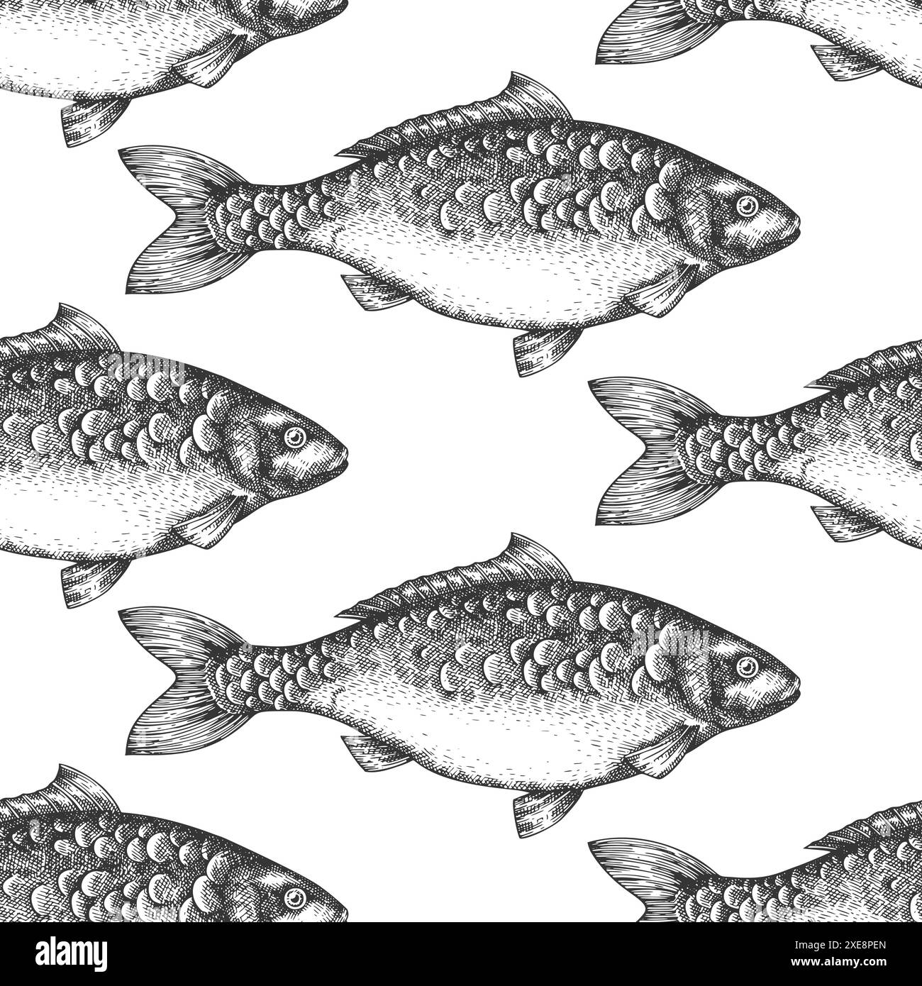 Line Pattern Carp Vintage Style Carp Seamless Pattern. Vector Hand Drawn Fish Background ...
