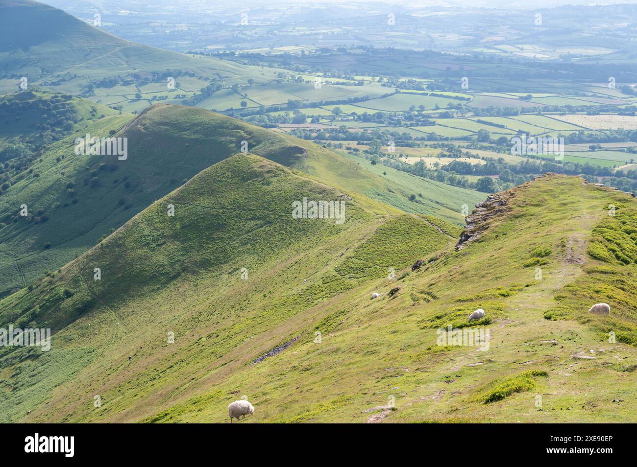 Y Grib, the Dragon's Back at the head of the Rhiangoll Valley, Black Mountains, Powys, UK Stock Photo