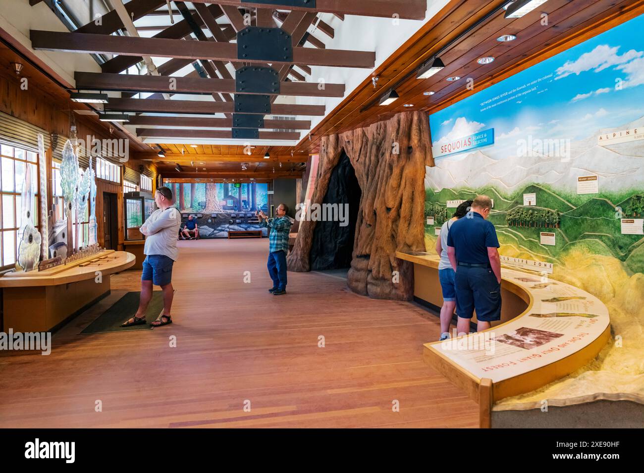 Visitors explore Giant Forest Museum - Visitors Explore Giant Forest Museum Sequoia National Park California Usa 2XE90HF 