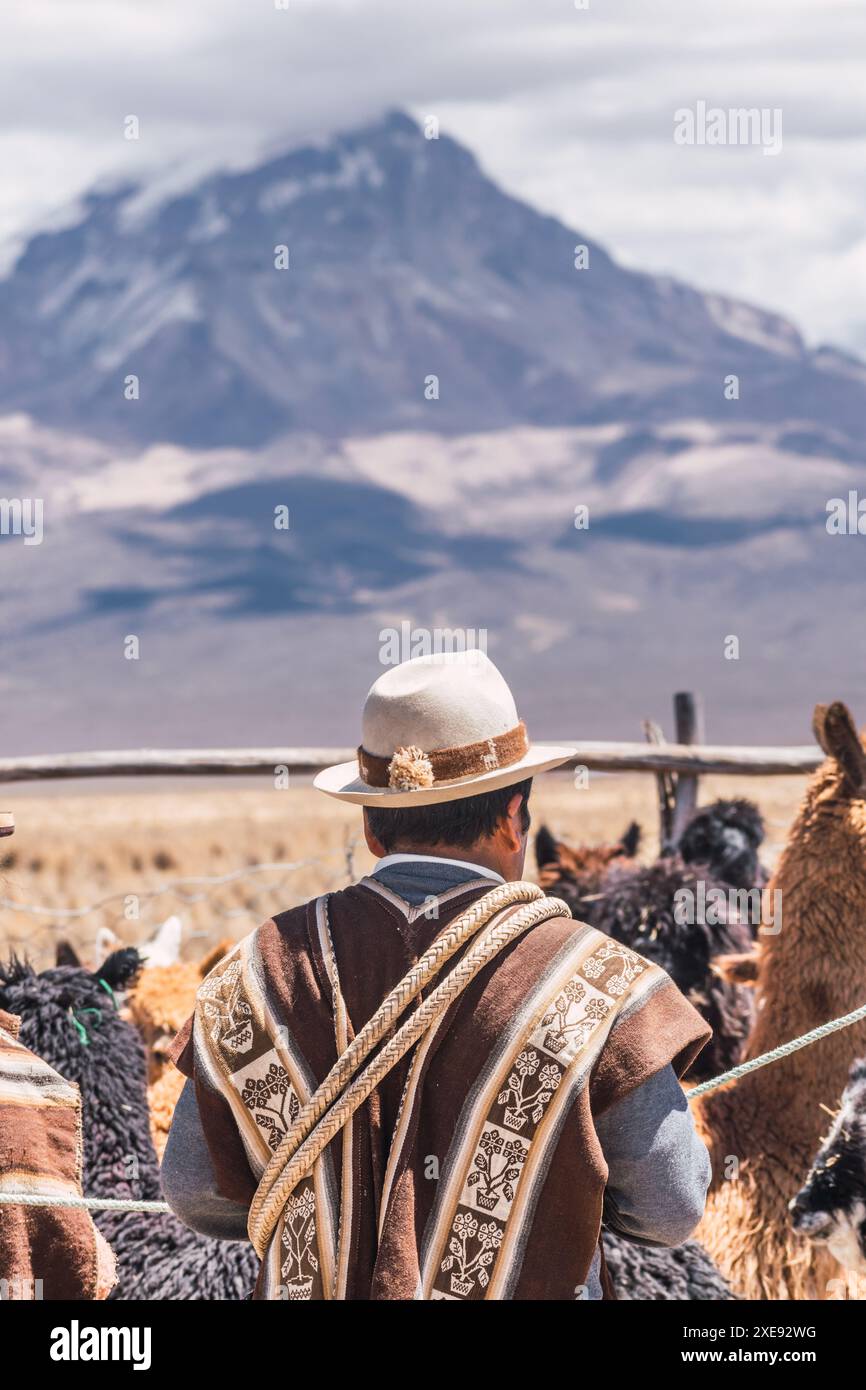 Poncho peru llama hi-res stock photography and images - Alamy