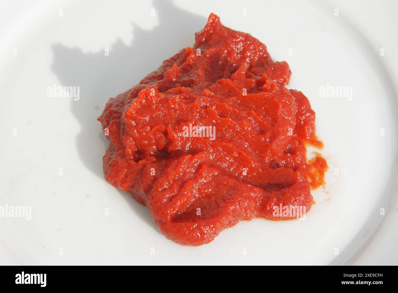 Tomato pasto Stock Photo