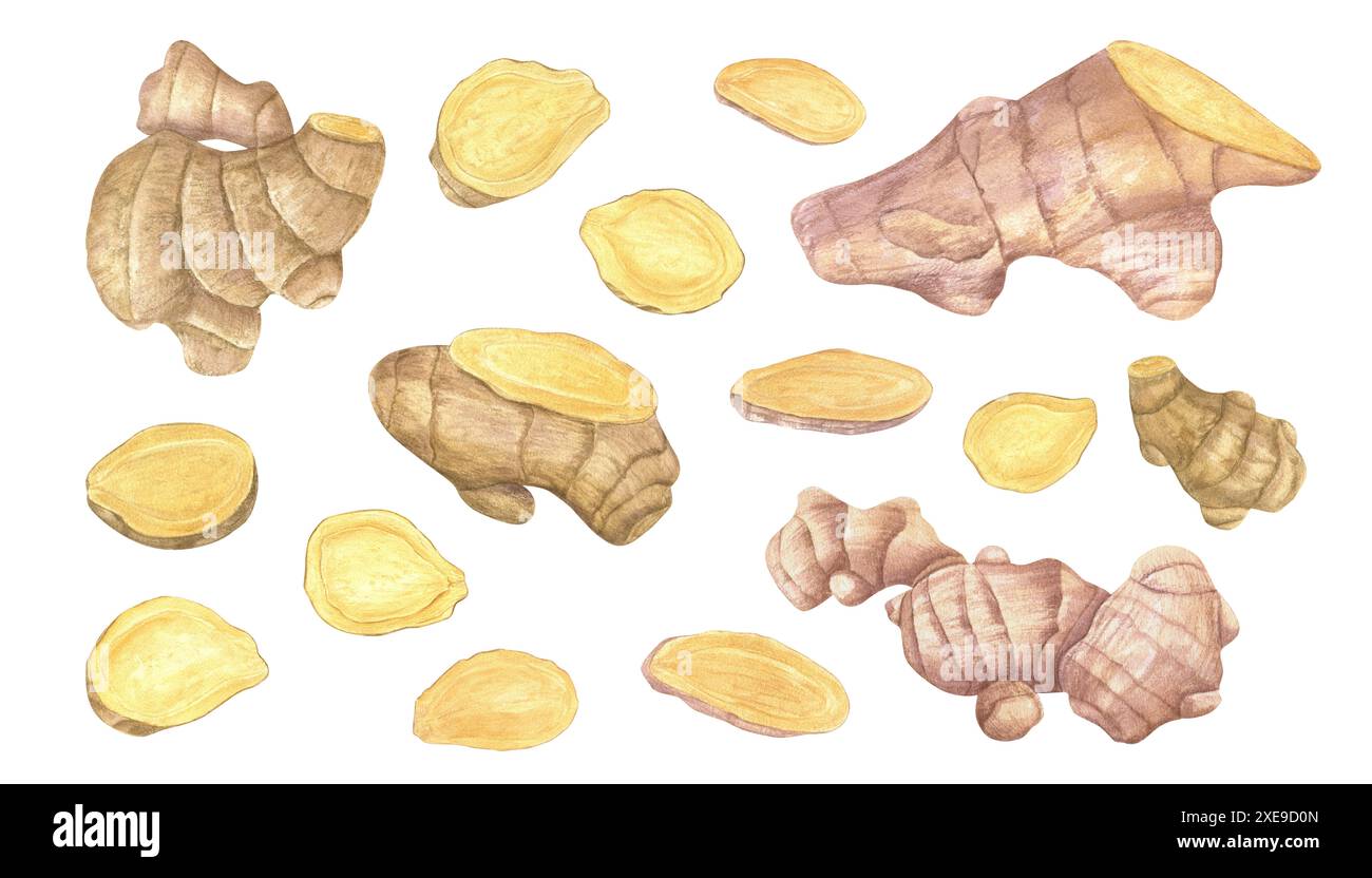 Baking Roots Fresh ginger root and slices. Fragrant and healthy plant for baking ...
