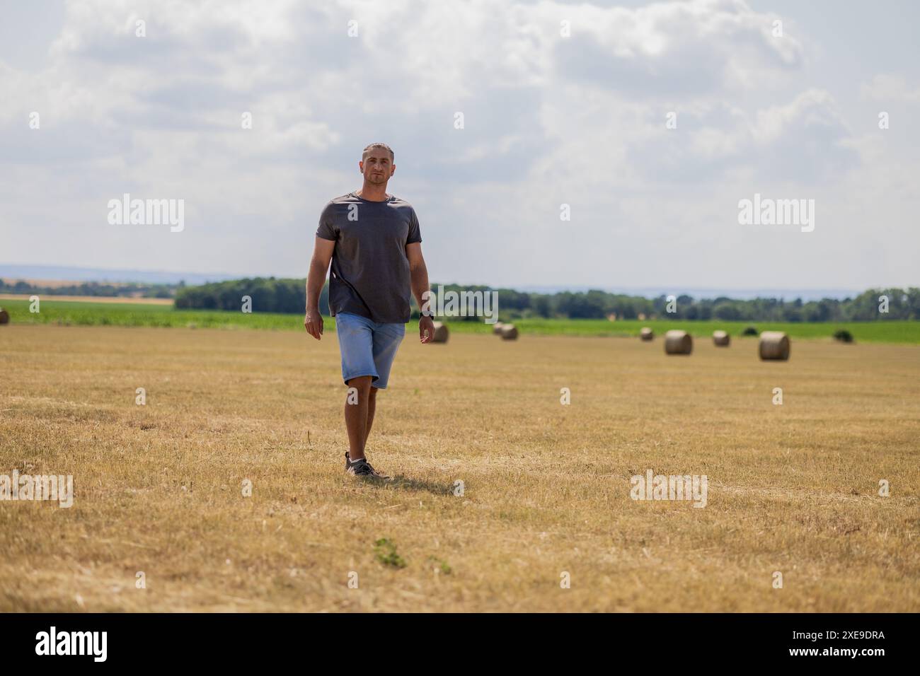 Man walks through wheat field hi-res stock photography and images - Alamy