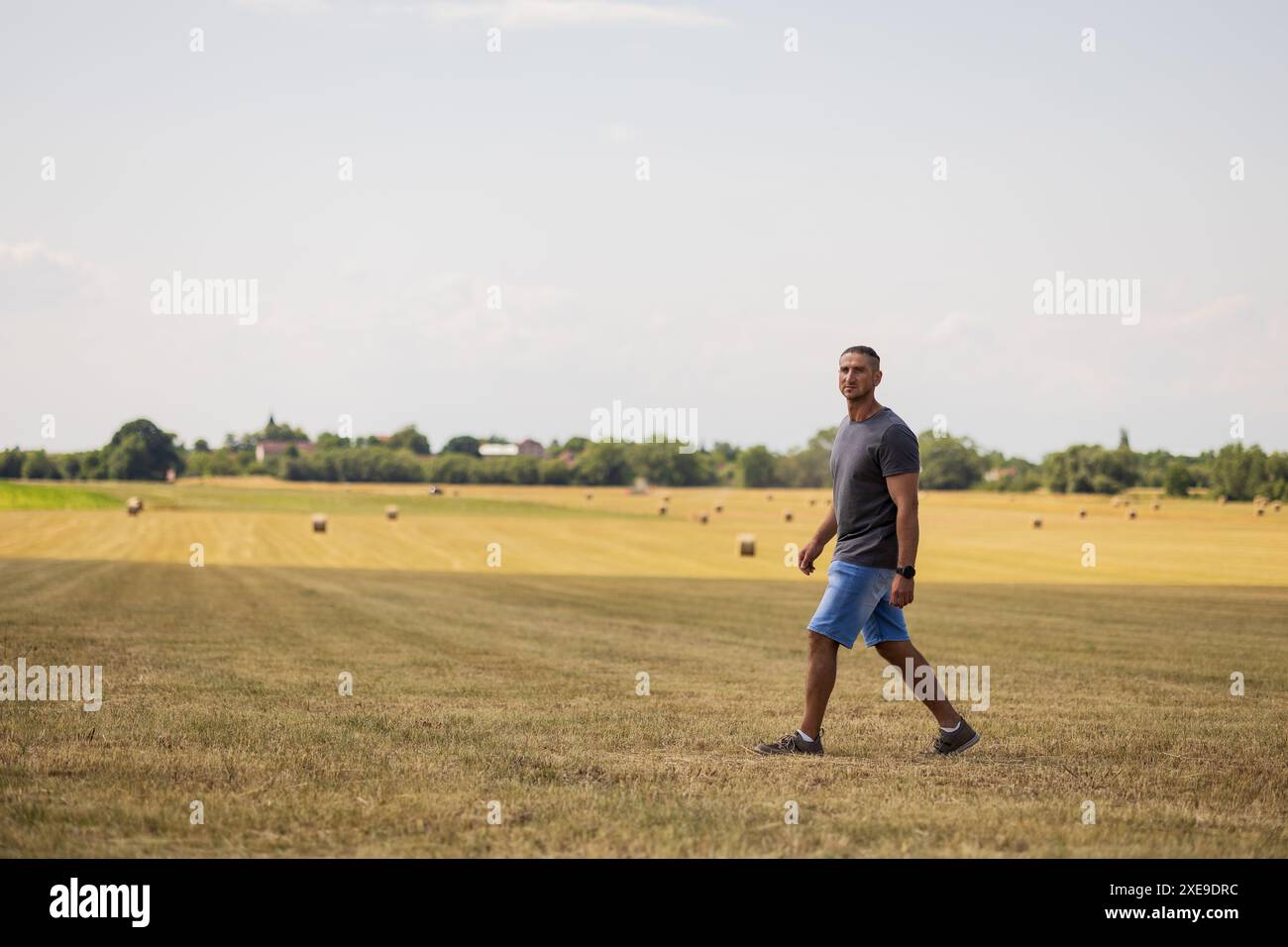 Farmer walks through wheat field hi-res stock photography and images ...