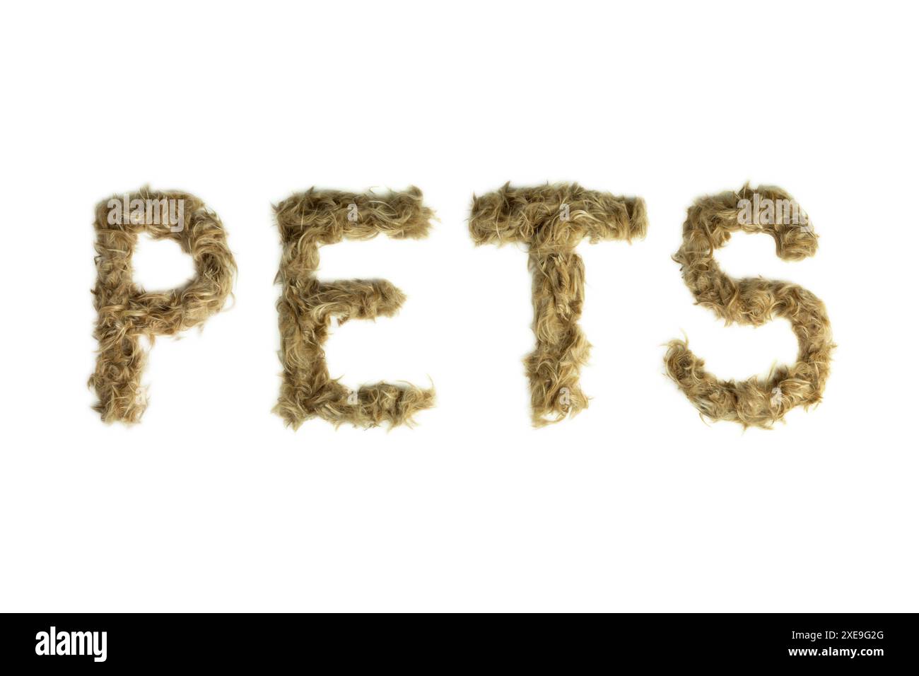 Creative typography made with real dog hair. Blonde hair on white background Dogs, cats, pets, monsters and other furry animals. Complete alphabet. wo Stock Photo