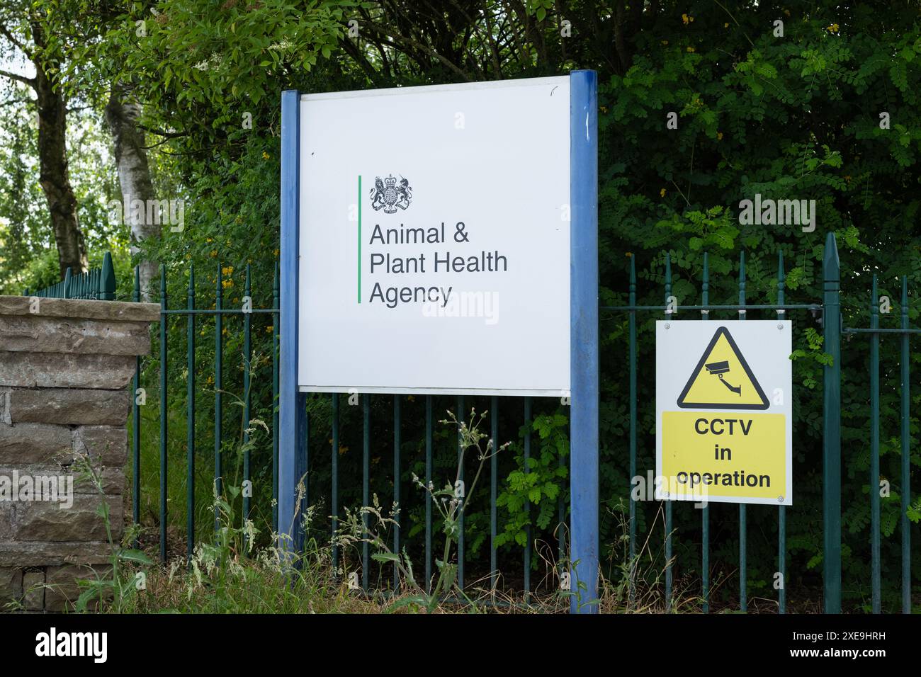 Animal agency hi-res stock photography and images - Alamy