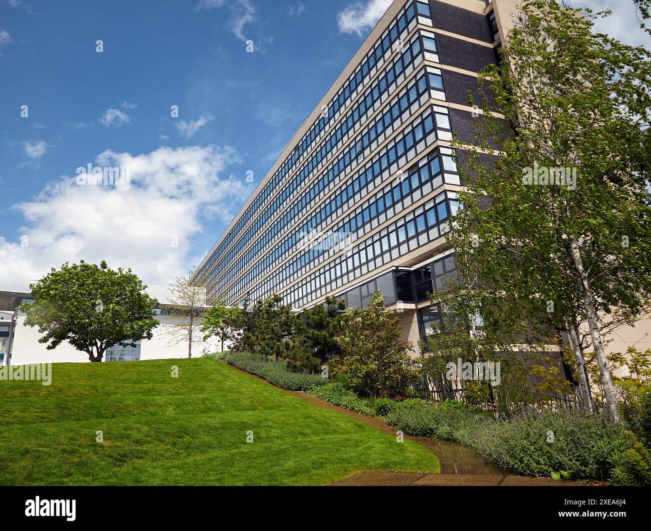 Owen Building Sheffield hallam campus hi-res stock photography and images - Alamy