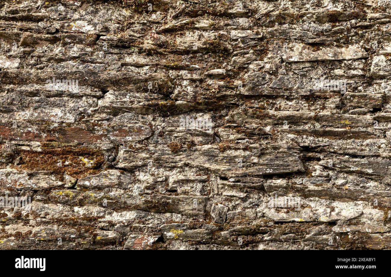 Stone wall with green moss Stock Photo