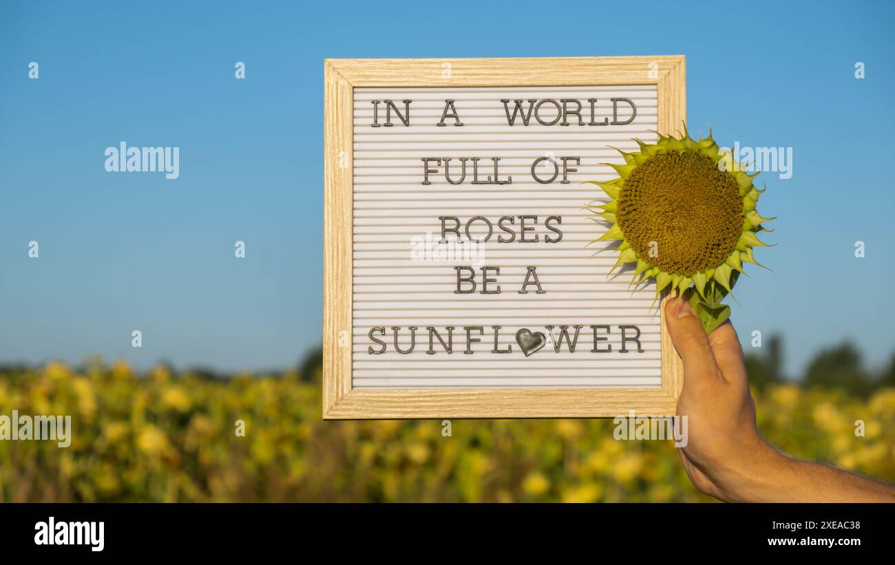 IN A WORLD FULL OF ROSES BE A SUNFLOWER text on white board next to sunflower field. Sunny summer day. Motivational caption insp Stock Photo