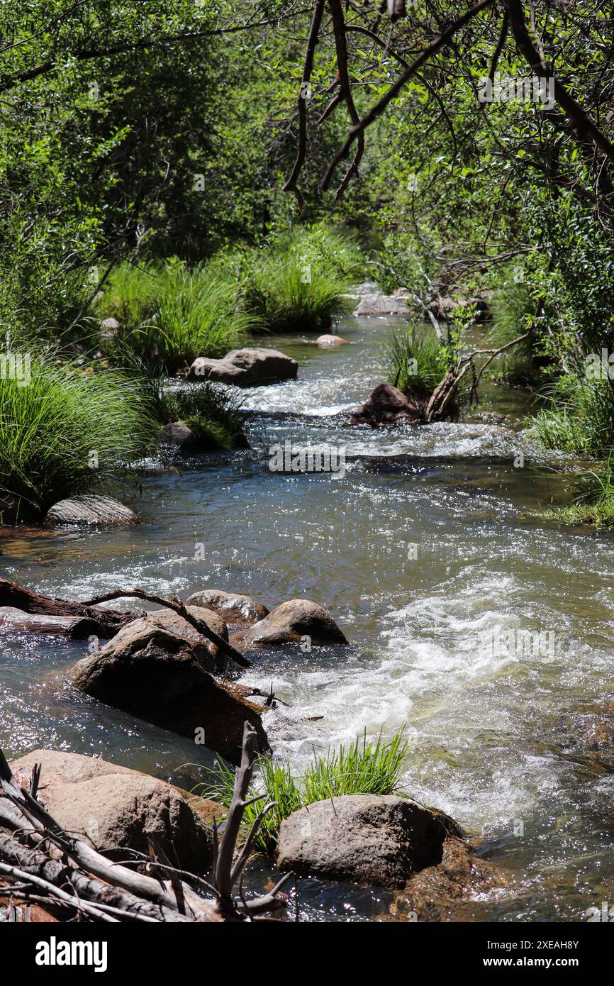 Earthy tones and cool water hi-res stock photography and images - Alamy