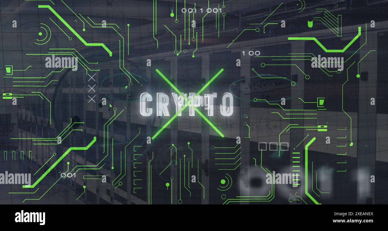Image of circuit board pattern, binary codes and crypto text over server room Stock Photo