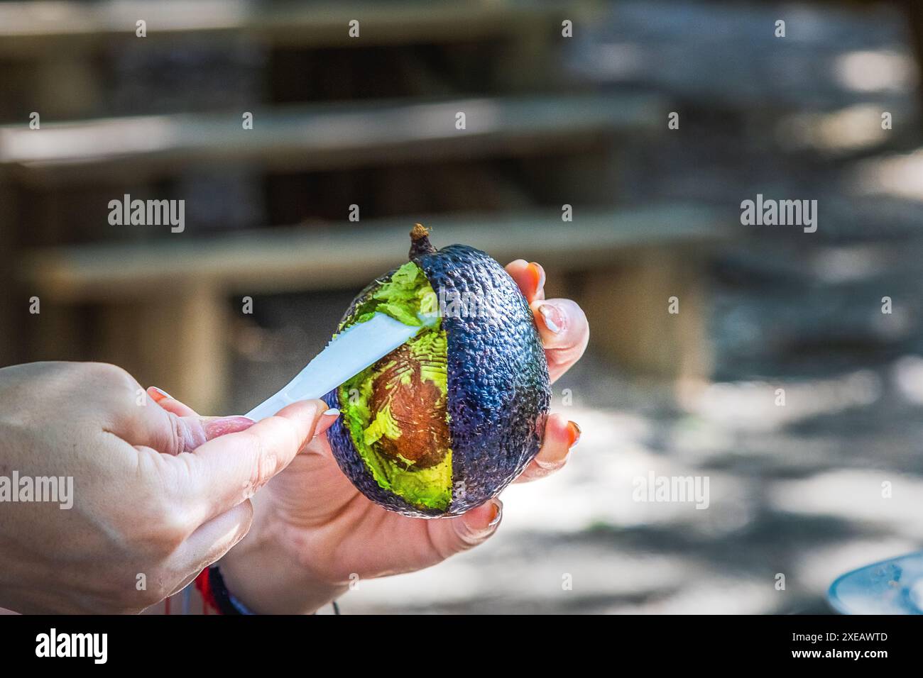 Opening, peeling, splitting and preparing a dressing with avocado. Stock Photo
