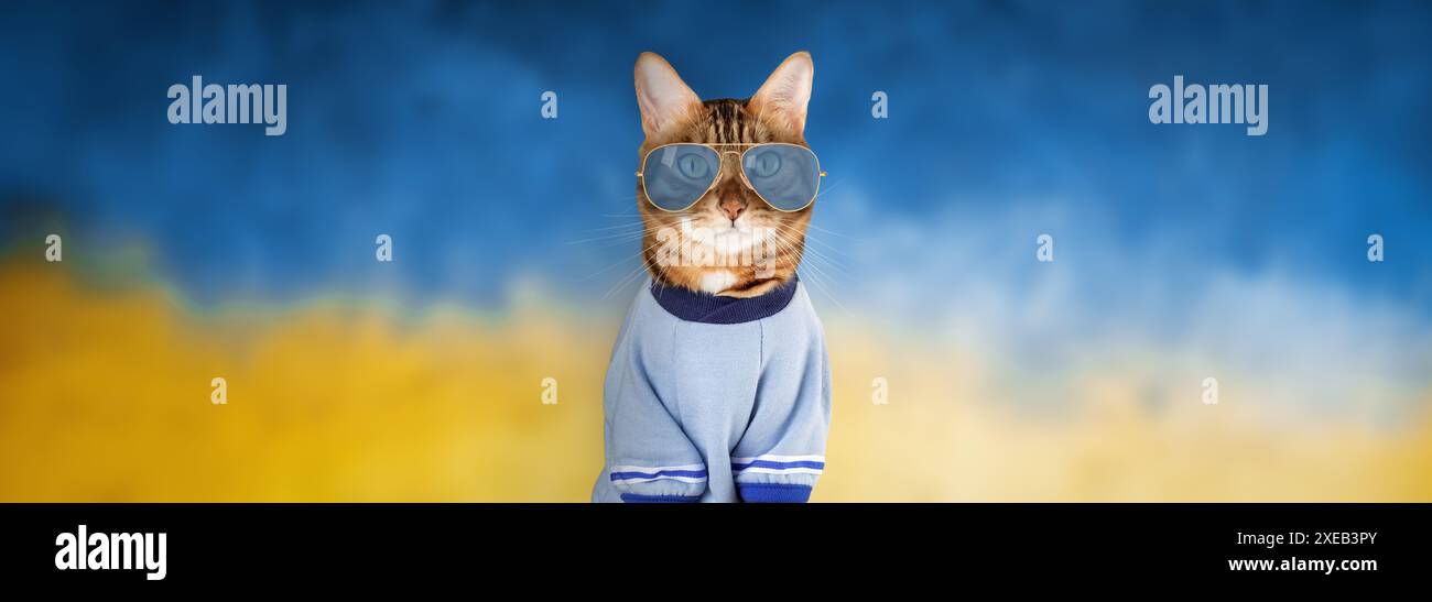 Funny red cat in glasses and a T-shirt. Stock Photo