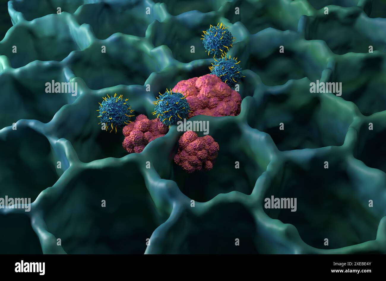 CAR T cell therapy in lung cancer (LC) - isometric view 3d illustration Stock Photo