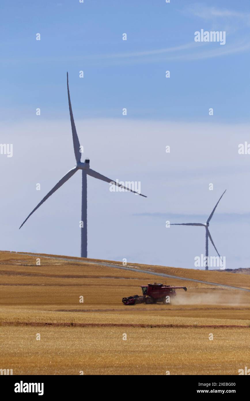 Combine Harvester working in front of wind turbines at the Hornsdale ...