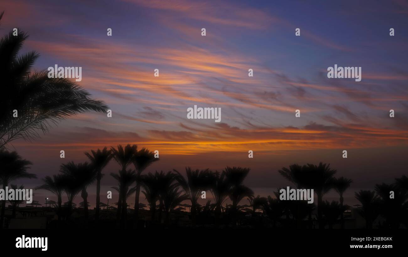 Palms on resort beach and sunrise over sea Stock Photo