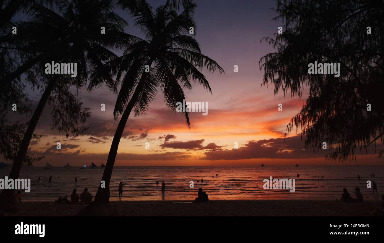 Sunset on beach with people and palms Stock Photo - Alamy