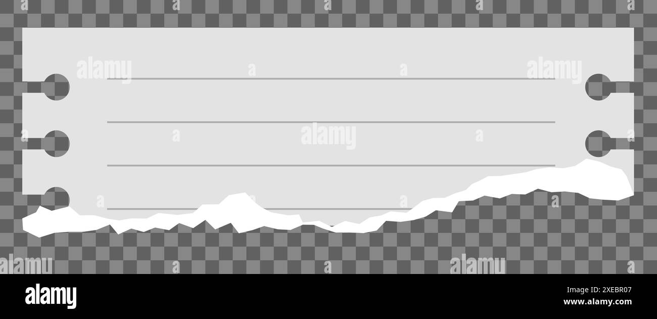 Torn Sheet on transparent background. Gray ripped paper. Vector ...