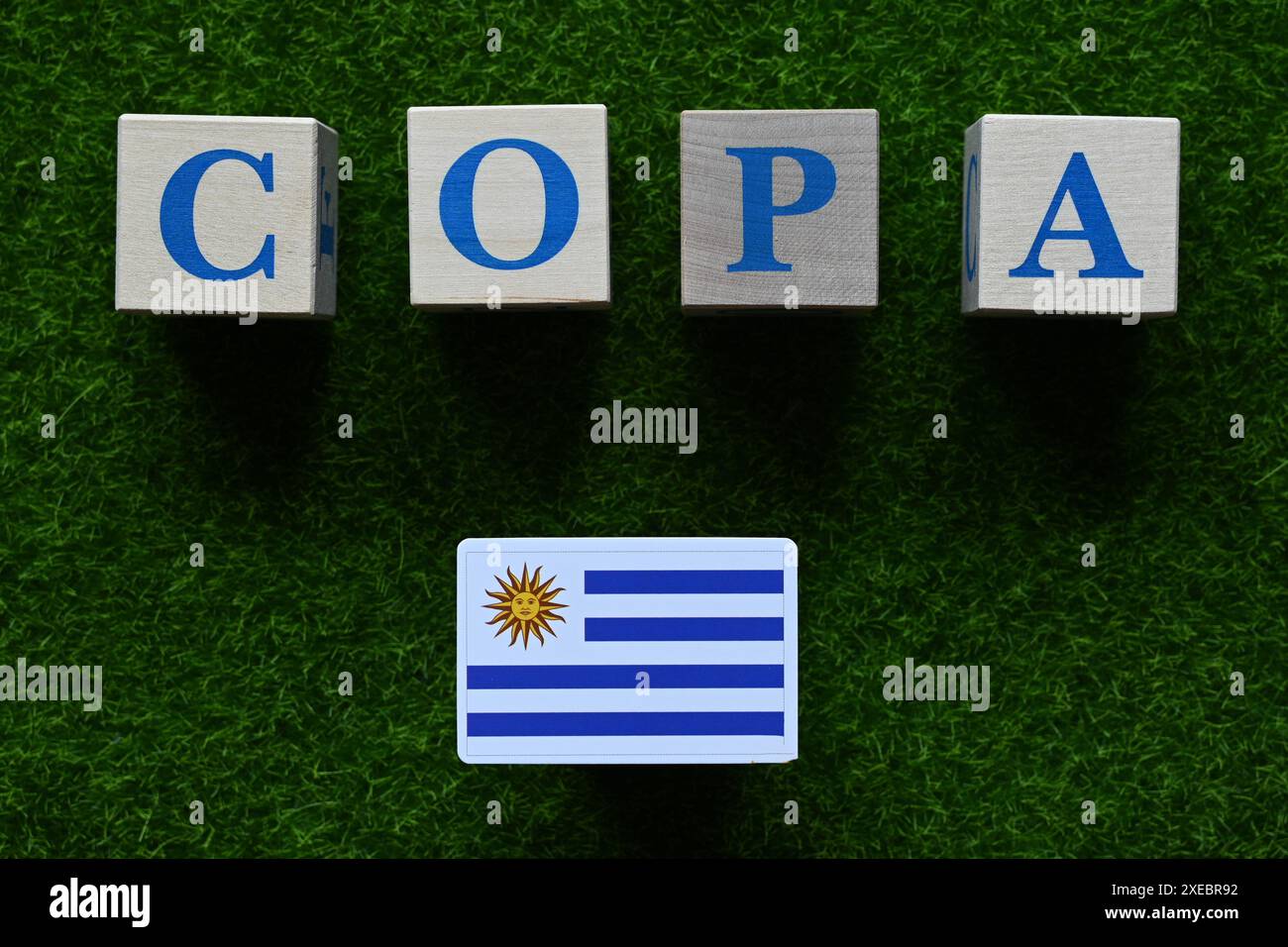 June 20, 2024, Miami, USA. The flag of the Uruguay national team is a
