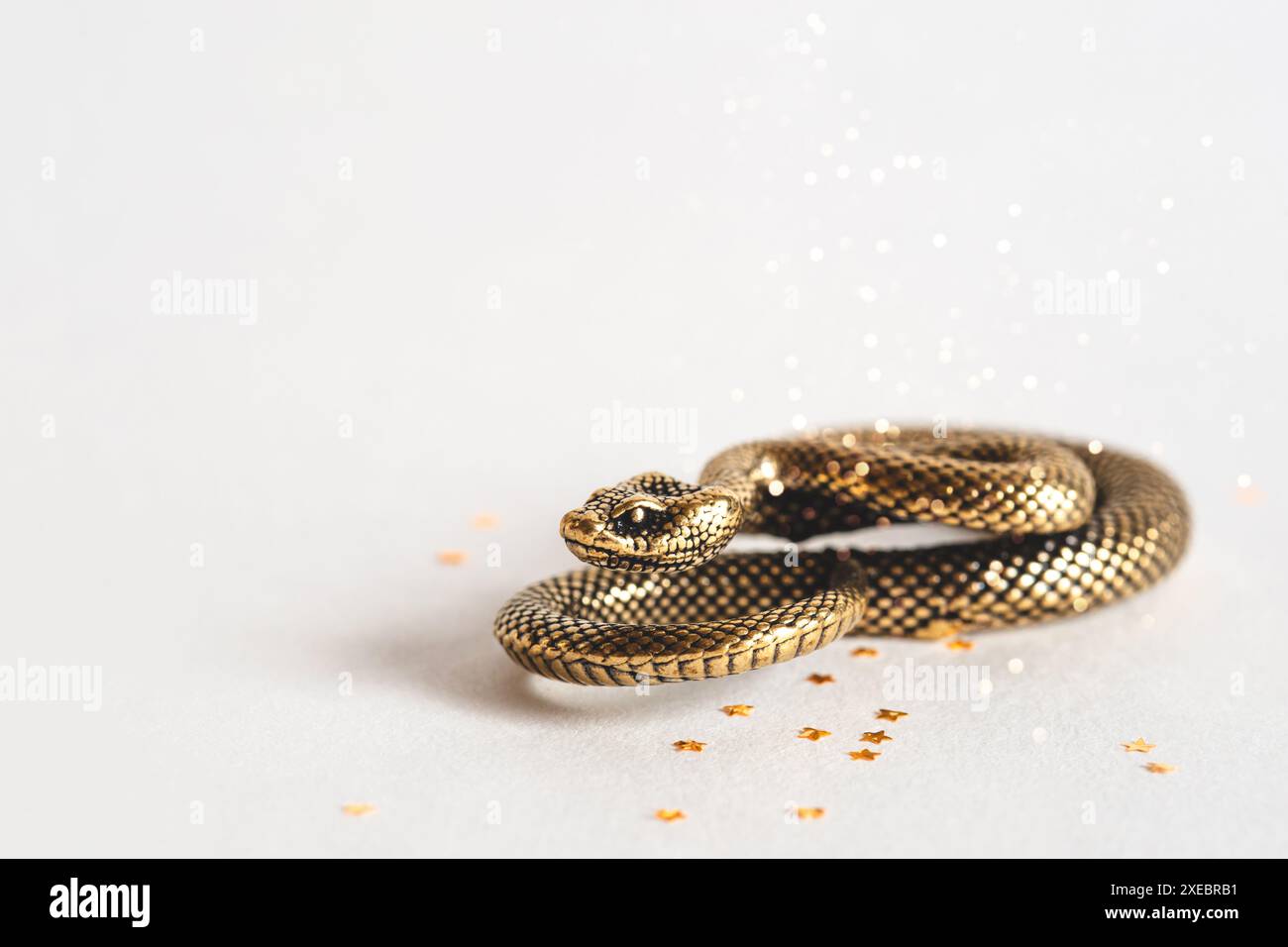 2025 snake hi-res stock photography and images - Alamy