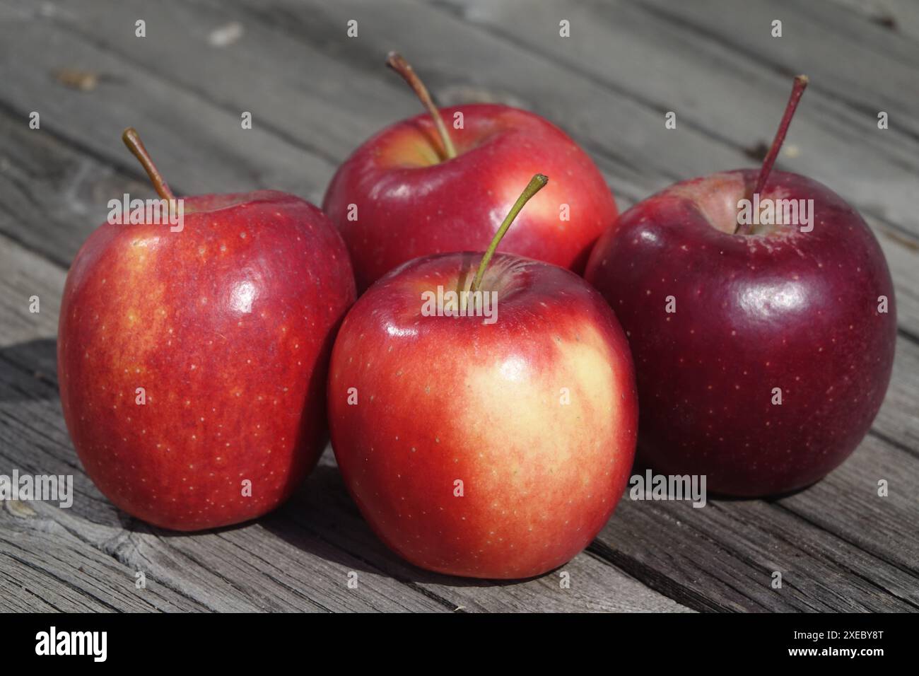 Apple story hi-res stock photography and images - Alamy