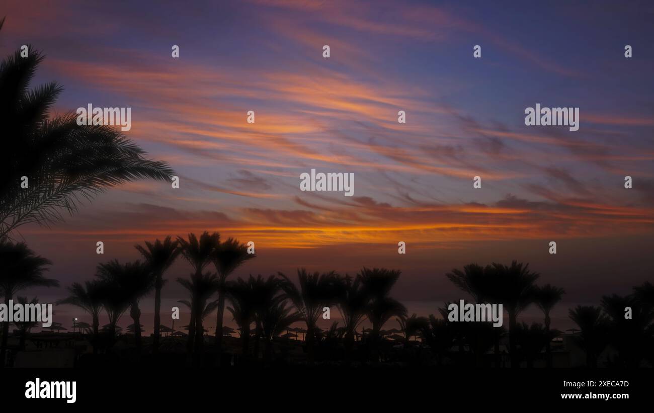 Palms on resort beach and sunrise over sea Stock Photo