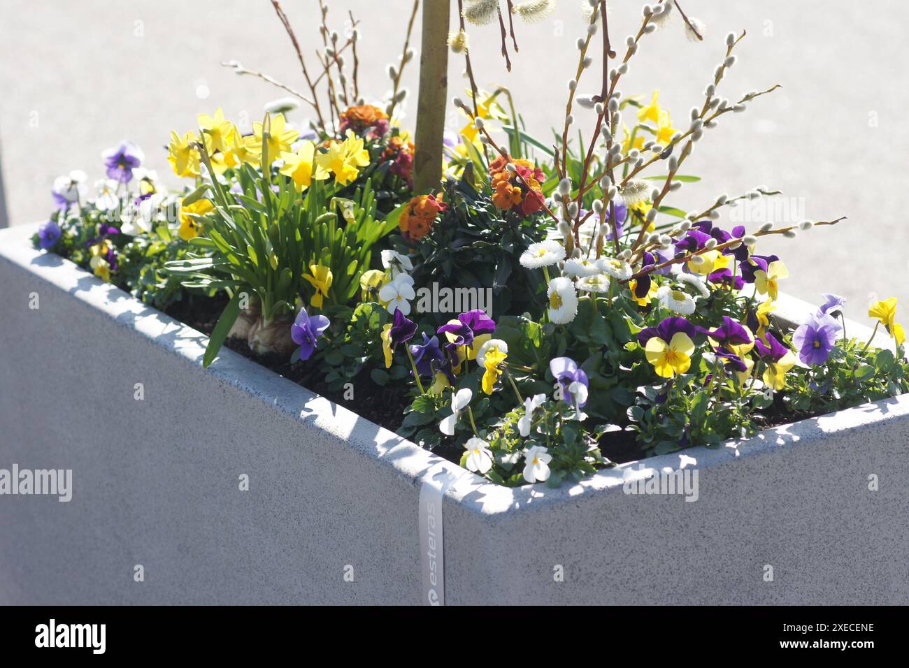 Frohe Ostern, Happy Easter Stock Photo