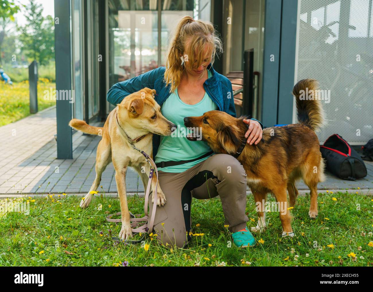 27 June 2024, Hesse, GroßGerau Walpuski, vet and dog handler