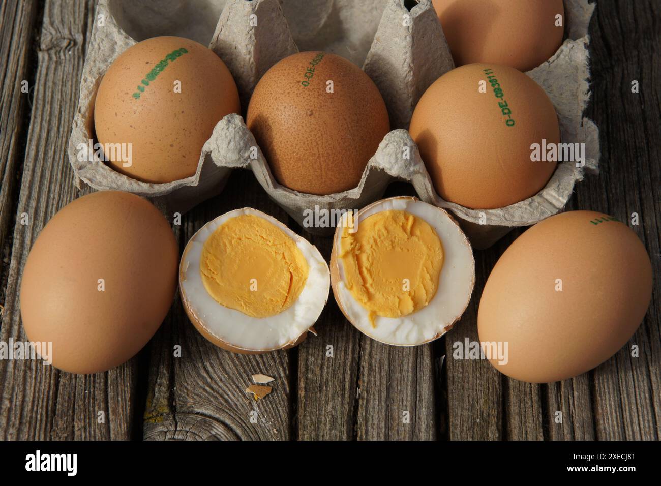 Eier, eggs Stock Photo