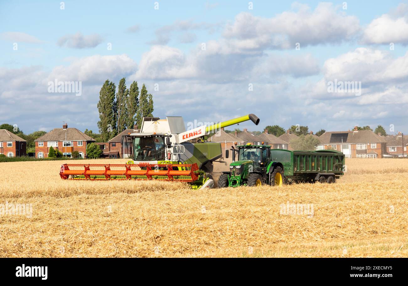 Yorkshire, UK - July 15, 2022   Bailay. Wheat harvesting in the summer season by a modern combine harvester. Farmers securing food supply and feeding Stock Photo