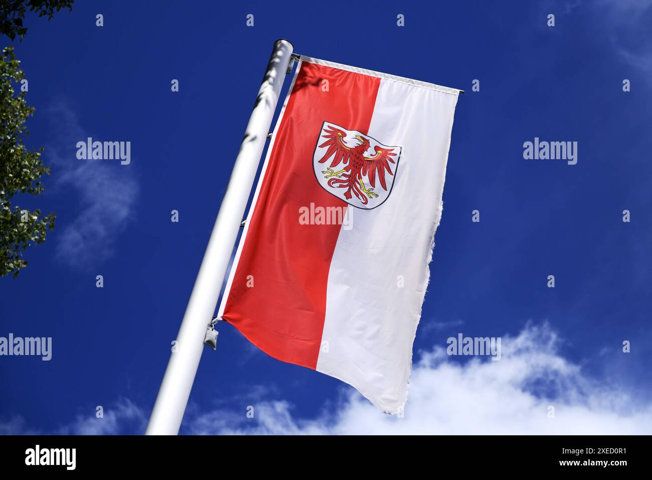 Wehende Fahne Des Deutschen Bundeslandes Brandenburg Waving Flag Of wehende-fahne-des-deutschen-bundeslandes-brandenburg-waving-flag-of