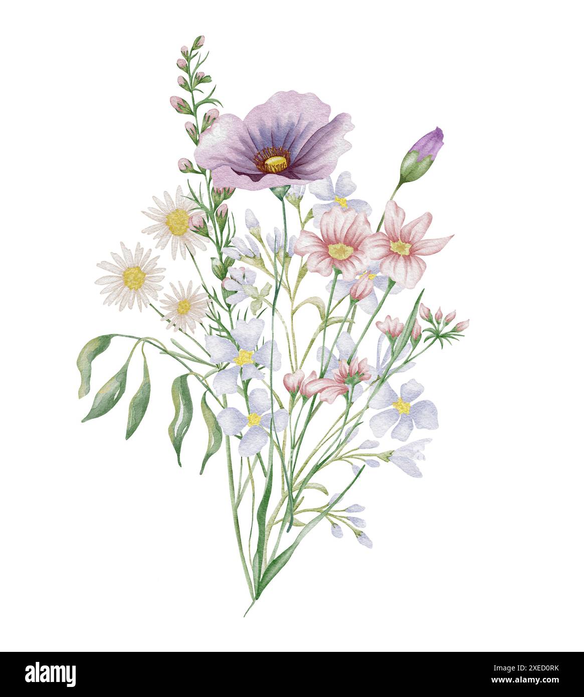 Watercolor wildflowers bouquet. Botanical arrangement of wild flowers and herbs. Summer floral composition Stock Photo