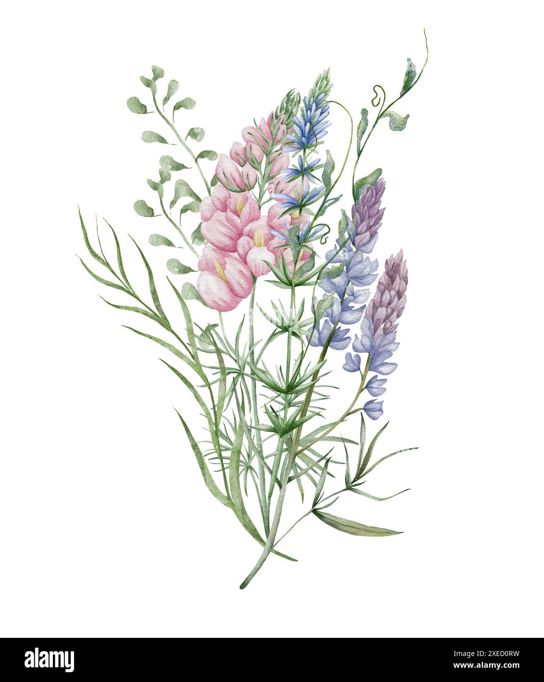 Watercolor wildflowers bouquet. Botanical arrangement of wild flowers and herbs. Summer floral composition Stock Photo