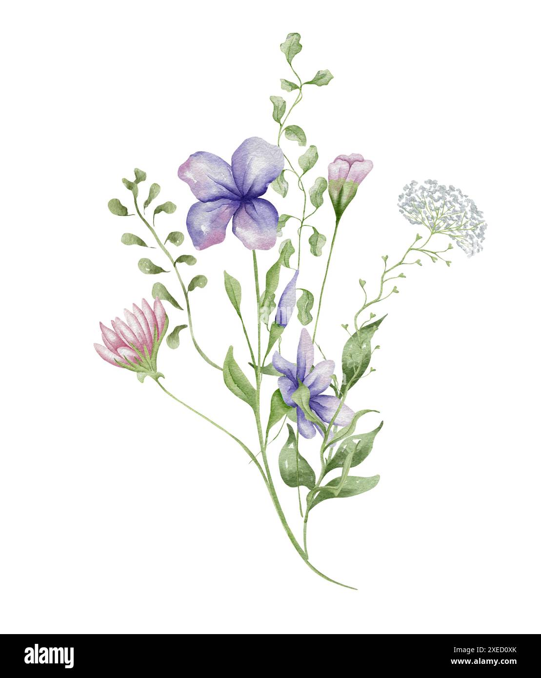 Watercolor wildflowers bouquet. Botanical arrangement of wild flowers and herbs. Summer floral composition Stock Photo