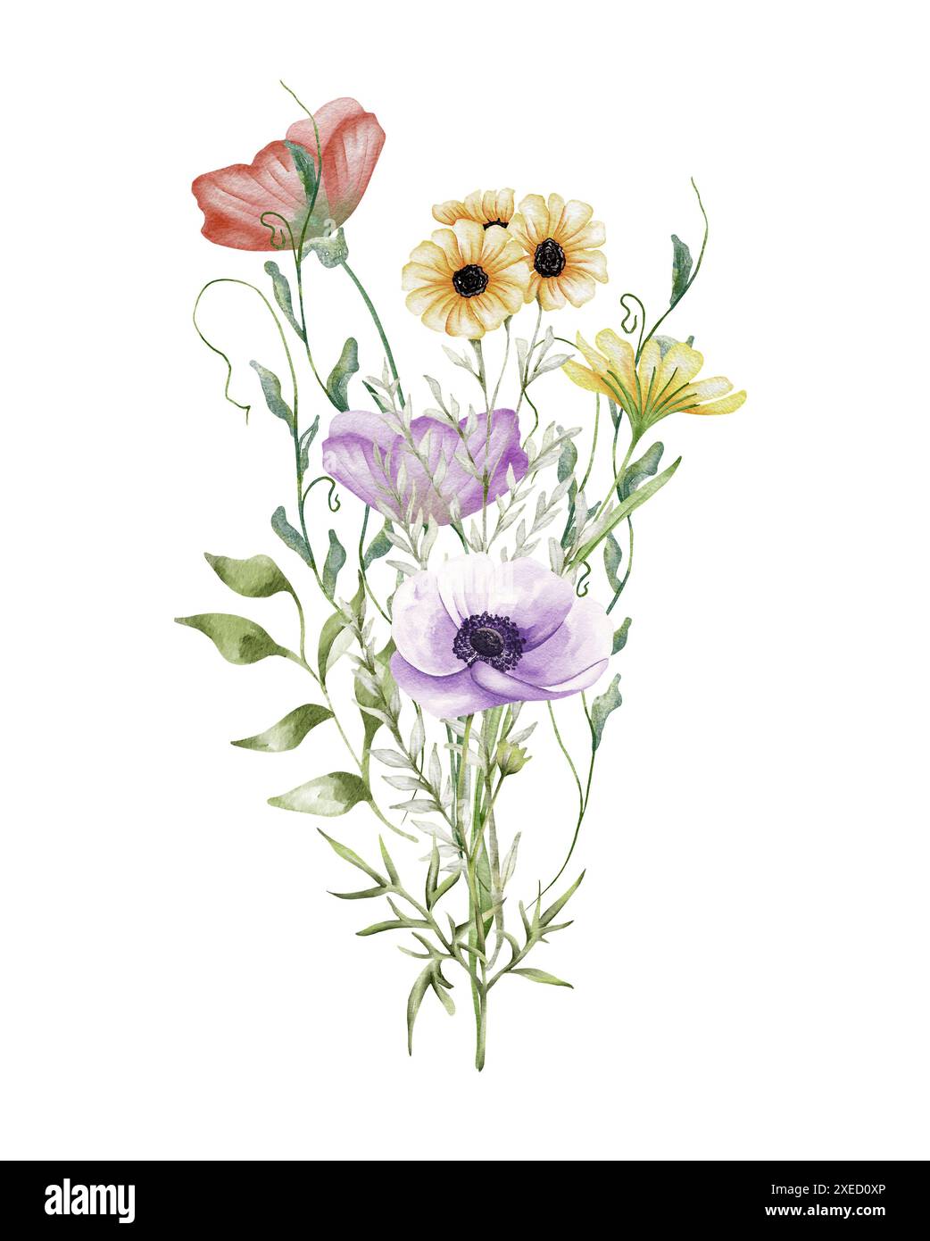 Watercolor wildflowers bouquet. Botanical arrangement of wild flowers and herbs. Summer floral composition Stock Photo